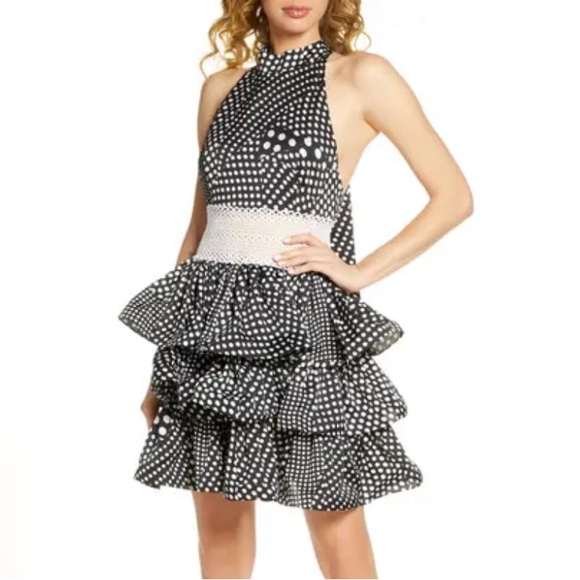 Bronx and Banco Dresses & Skirts - Bronx & Banco Black White Aubrey Polka Dot Halter  Embroidered Party Dress NWT M